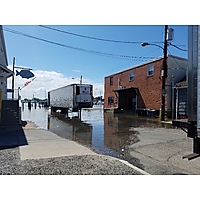 August king tide Hampton image